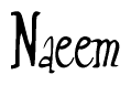 Nametag+Naeem 
