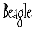 Nametag+Beagle 