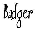 Nametag+Badger 