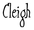 Nametag+Cleigh 