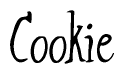 Nametag+Cookie 