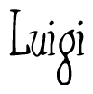Nametag+Luigi 