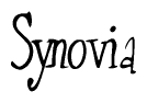 Nametag+Synovia 