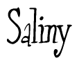 Nametag+Saliny 