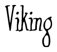 Nametag+Viking 