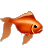 animated goldfish