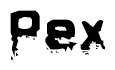 Nametag+Pex 
