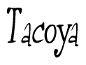 Nametag+Tacoya 
