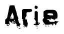 The image contains the word Arie in a stylized font with a static looking effect at the bottom of the words