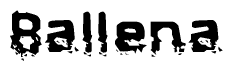 The image contains the word Ballena in a stylized font with a static looking effect at the bottom of the words