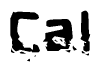 The image contains the word Cal in a stylized font with a static looking effect at the bottom of the words