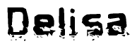 The image contains the word Delisa in a stylized font with a static looking effect at the bottom of the words