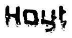 The image contains the word Hoyt in a stylized font with a static looking effect at the bottom of the words