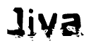The image contains the word Jiva in a stylized font with a static looking effect at the bottom of the words