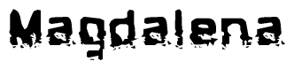 The image contains the word Magdalena in a stylized font with a static looking effect at the bottom of the words