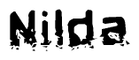 The image contains the word Nilda in a stylized font with a static looking effect at the bottom of the words