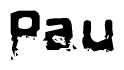 This nametag says Pau, and has a static looking effect at the bottom of the words. The words are in a stylized font.