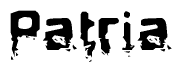 This nametag says Patria, and has a static looking effect at the bottom of the words. The words are in a stylized font.