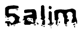 The image contains the word Salim in a stylized font with a static looking effect at the bottom of the words