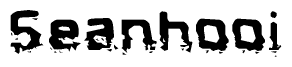 The image contains the word Seanhooi in a stylized font with a static looking effect at the bottom of the words