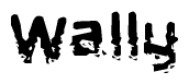 The image contains the word Wally in a stylized font with a static looking effect at the bottom of the words