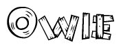 The image contains the name Owie written in a decorative, stylized font with a hand-drawn appearance. The lines are made up of what appears to be planks of wood, which are nailed together