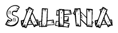 The image contains the name Salena written in a decorative, stylized font with a hand-drawn appearance. The lines are made up of what appears to be planks of wood, which are nailed together