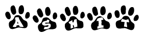 The image shows a series of animal paw prints arranged horizontally. Within each paw print, there's a letter; together they spell Ashit