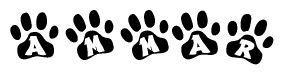 The image shows a row of animal paw prints, each containing a letter. The letters spell out the word Ammar within the paw prints.