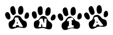 The image shows a row of animal paw prints, each containing a letter. The letters spell out the word Ania within the paw prints.