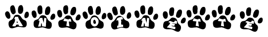 The image shows a row of animal paw prints, each containing a letter. The letters spell out the word Antoinette within the paw prints.