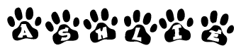 The image shows a row of animal paw prints, each containing a letter. The letters spell out the word Ashlie within the paw prints.