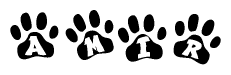 The image shows a series of animal paw prints arranged in a horizontal line. Each paw print contains a letter, and together they spell out the word Amir.