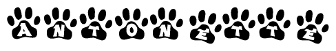 The image shows a series of animal paw prints arranged in a horizontal line. Each paw print contains a letter, and together they spell out the word Antonette.