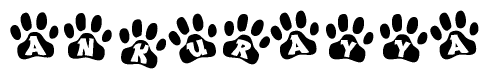 The image shows a series of animal paw prints arranged in a horizontal line. Each paw print contains a letter, and together they spell out the word Ankurayya.