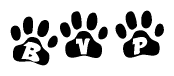 The image shows a series of animal paw prints arranged in a horizontal line. Each paw print contains a letter, and together they spell out the word Bvp.