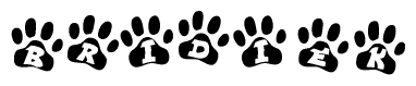 The image shows a series of animal paw prints arranged in a horizontal line. Each paw print contains a letter, and together they spell out the word Bridiek.