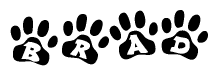 The image shows a series of animal paw prints arranged in a horizontal line. Each paw print contains a letter, and together they spell out the word Brad.