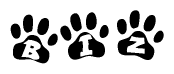 The image shows a series of animal paw prints arranged in a horizontal line. Each paw print contains a letter, and together they spell out the word Biz.