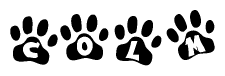 The image shows a row of animal paw prints, each containing a letter. The letters spell out the word Colm within the paw prints.