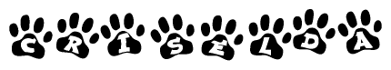 The image shows a series of animal paw prints arranged in a horizontal line. Each paw print contains a letter, and together they spell out the word Criselda.