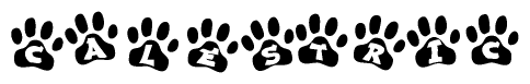 The image shows a series of animal paw prints arranged in a horizontal line. Each paw print contains a letter, and together they spell out the word Calestric.