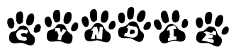 The image shows a series of animal paw prints arranged horizontally. Within each paw print, there's a letter; together they spell Cyndie