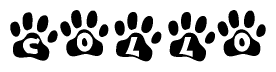 The image shows a row of animal paw prints, each containing a letter. The letters spell out the word Collo within the paw prints.