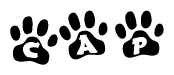 The image shows a series of animal paw prints arranged horizontally. Within each paw print, there's a letter; together they spell Cap