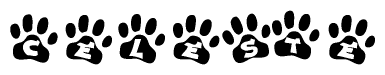 The image shows a row of animal paw prints, each containing a letter. The letters spell out the word Celeste within the paw prints.