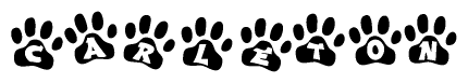 The image shows a series of animal paw prints arranged horizontally. Within each paw print, there's a letter; together they spell Carleton
