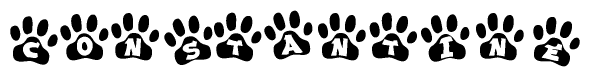 The image shows a series of animal paw prints arranged horizontally. Within each paw print, there's a letter; together they spell Constantine
