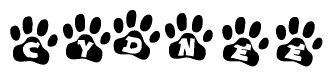 The image shows a row of animal paw prints, each containing a letter. The letters spell out the word Cydnee within the paw prints.