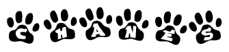 The image shows a series of animal paw prints arranged horizontally. Within each paw print, there's a letter; together they spell Chanes